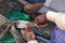 Technician repairing an underground telephone line multicolored wires