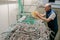 A technician untangles a lot of cables on a false ceiling. A man is laying Internet wires in a server room. Random chaotic plexus