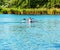 Technique of rowing of a single athlete on a kayak. Paddle splash motion