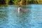 Technique of rowing of a single athlete on a kayak. Paddle splash motion