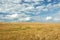 Technological path on barley field