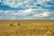 Technological path in the field and clouds on a blue sky