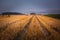 Technological path in the stubble, sky after sunset