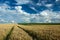 Technological path to the wheat field and clouds in the sky