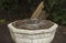 Technology: Close up of a bronze sundial on a carved stone pedestal. 1