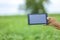 Technology and people concept, Young indian agronomist showing tablet at field