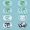 Tectonic Plates on the planet Earth. modern continents and infographics Set of icons Flat style