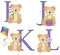 Teddy bear alphabet i j k l with illustrations