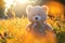 Teddy bear baby toy sitting in shining grass  on the autumn park