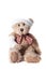 Teddy bear with bandaged head and arm, isolated