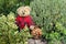 Teddy bear Basket filled with hazelnuts Outdoor nature