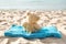 Teddy Bear on Beach Towel