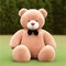 Teddy Bear Big and Fluffy Sitting on grass with bow tie