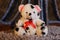 Teddy bear with black and white Dalmatian print