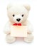 Teddy bear with blank card