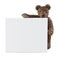 Teddy bear with blank note