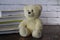 Teddy bear with books on white bricks background