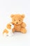 Teddy Bear and brown dog dolls, brown ears.