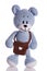 Teddy bear with brown school bag