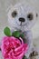 Teddy-bear Chupa with a dogrose flower