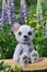 Teddy-bear Chupa on a little board among flowers