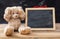 Teddy bear covering ears and a blank blackboard, space for text