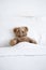 Teddy bear. A cute brown teddy bear sleeping in the bed. Copy space on top for your personalized text