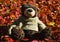 A teddy bear with a cute inscription on a sweater sits on red leaves of a bush