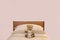 Teddy bear cute vintage on bed duvet bedroom interior pink blank wall