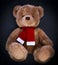 Teddy bear on a dark background