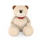 Teddy Bear Doll Isolated