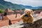 Teddy bear Dranik in Weissenkirchen. Austria.