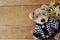 Teddy bear and dried flowers with space copy background