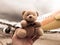 Teddy bear escapade