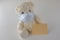 Teddy bear with facemask, white background, copy space
