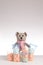 Teddy bear with filled plastic medicine cups on grey background