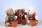 Teddy bear friends sitting with mugs filled hot drinks