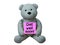 Teddy Bear get well soon isolated