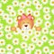 Teddy bear girl flower garden daisy background