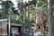 Teddy bear hanging on clothesline