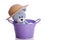 Teddy bear with hat in a purple bathtub bucket