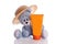 Teddy bear with hat and suncream lotion