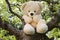 Teddy bear hiding in apple tree