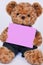 Teddy bear holding a blank pink sign isolated on white background