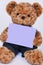 Teddy bear holding a blank purple sign isolated on white background