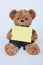 Teddy bear holding a blank sign isolated on white background