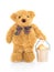 Teddy bear holding cookie bucket