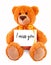 Teddy bear holding a message