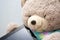 Teddy bear holding a modern tablet, kids and technology concept