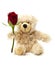 Teddy bear holding a rose